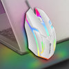 Colorful F1 Wired Mouse – 1600 DPI, Compact & Ergonomic - TeleWorld Online
