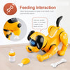 JJRC Remote Control Dog – Interactive Robotic Toy for Teens - TeleWorld Online