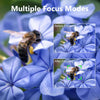 40.2MP 4K Digital Camera – WiFi, EIS, Interchangeable Lens