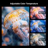 4K Google TV Projector – Auto Focus, 5G WiFi, Bluetooth - TeleWorld Online